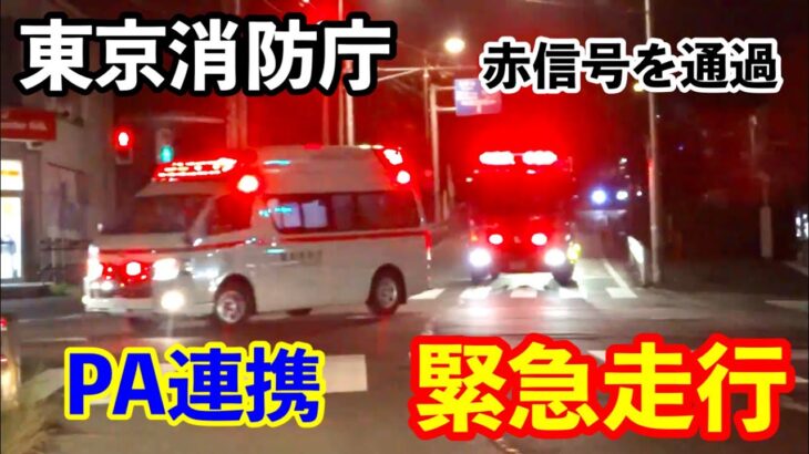 【緊急走行】東京消防庁 救急車とポンプ車のPA連携