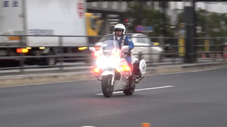 格好良さがエグい！追跡態勢でも会釈する余裕！FJRの白バイが凄いサイレン音を鳴らして信号無視を取締る瞬間！Japanese Police motorcycle