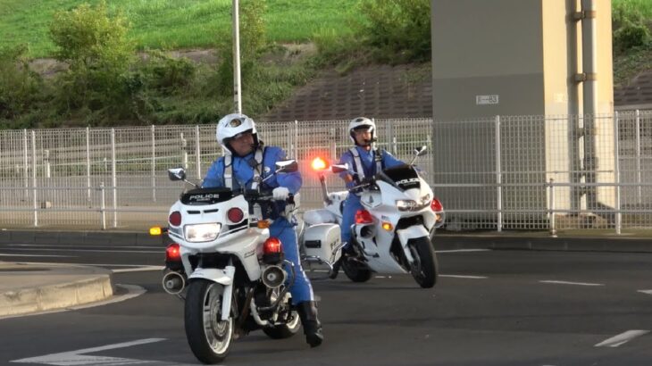 もはや絶滅か！？警視庁に配備されたGSF1200Pの白バイが走行する貴重な映像！Japanese Police motorcycle