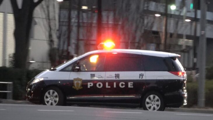 信号無視を現認したエスティマパトカーが緊急走行（Uターン）で追跡し違反車を捕まえる格好良い瞬間！