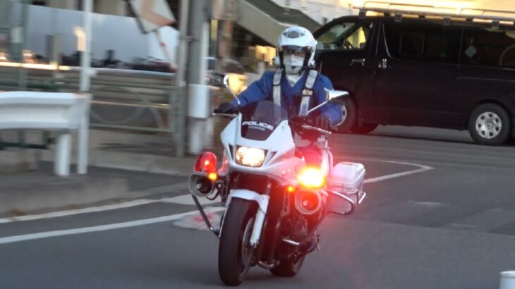 直進車両の切れ目を見極め命懸けの横断！！！白バイが緊急走行で違反車を追跡し検挙した痺れる瞬間！！！Japanese Police motorcycle
