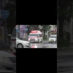 【緊急走行】雨の交差点を対向車線から左折する救急車と消防車
