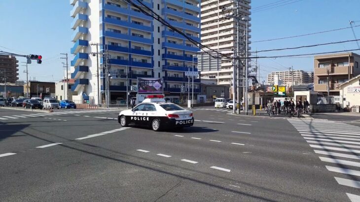【パトカー緊急走行】大阪府警　和泉署　Toyota crown　２１０系【Japanese　Policecar】