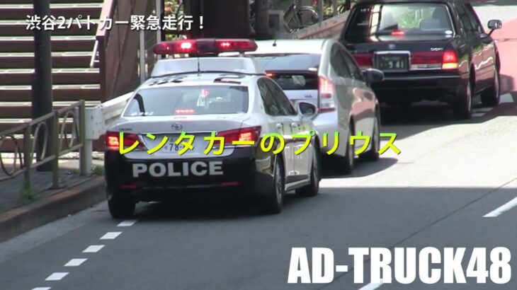 パトカーがいるのに…迷いもなく黄色線を2車線跨いで違反しちゃうプリウスを緊急走行で捕獲する渋谷2パトカー！よく見りゃ上得意様のお上りレンタカーか？
