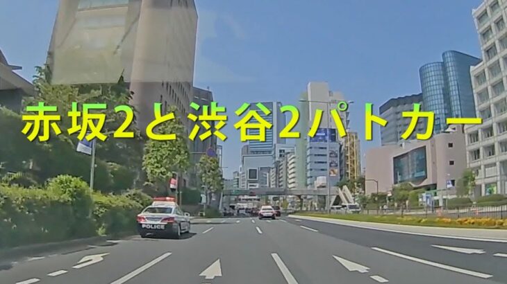 赤坂2PCが渋谷署管内で交通取締！渋谷2PCがいるけどUターンしたMINIを緊急走行で追う