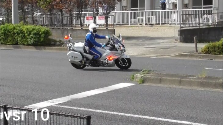 FJR白バイ 緊急走行 信号無視取り締まり3連発 FJR motorcycle police Emergency driving Arrested violating vehicle