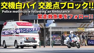 警視庁交機白バイ 緊急走行中の救急車をヘルプ!! Police motorcycle following an ambulance
