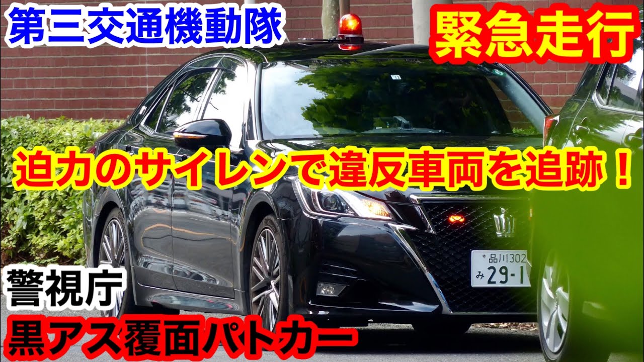 迫力のサイレンで違反者を追跡 警視庁 3交機 黒アス覆面パトカーの取り締まり 世界の緊急車両24時