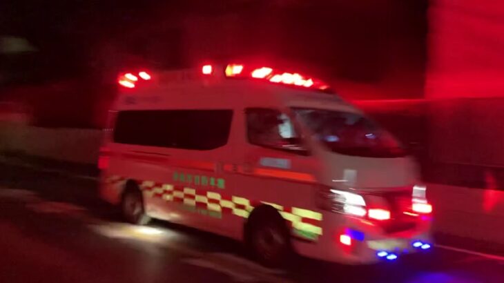 【緊急走行】バッテンバーグマーキングが目立つ新型NVパラメディック  津島市消防本部A3