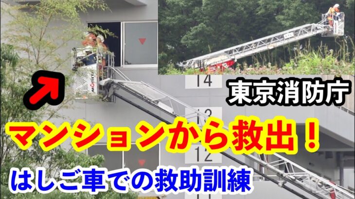 【マンションから救出！】東京消防庁 はしご車での救助訓練