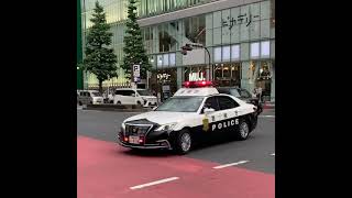 歌舞伎町パトカー緊急走行