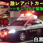 【激レアパトカーと救急車のコラボ】神奈川県警 白黒キザシとハーモニックサイレンで緊急走行する救急車