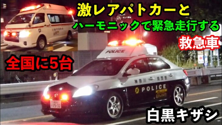 【激レアパトカーと救急車のコラボ】神奈川県警 白黒キザシとハーモニックサイレンで緊急走行する救急車