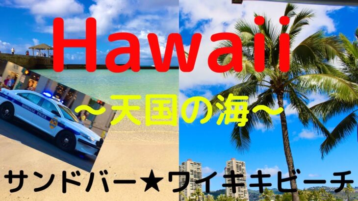 【ハワイ】海水浴のんびり旅してたらパトカー緊急走行･:*+.(( °ω° ))/.:+