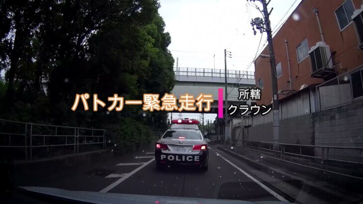 【POLICE】警邏中の所轄パトカーが緊急走行する瞬間！