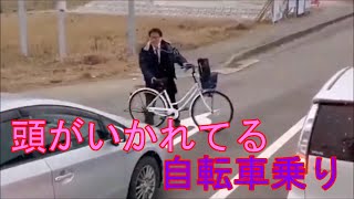 「日本の交通事故と煽り運転」  頭がいかれてる自転車に乗り