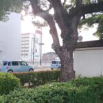 徳島中央広域連合救急車緊急走行