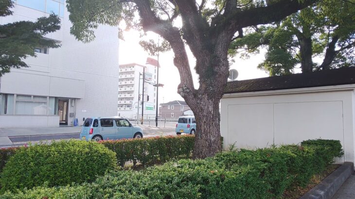 徳島中央広域連合救急車緊急走行