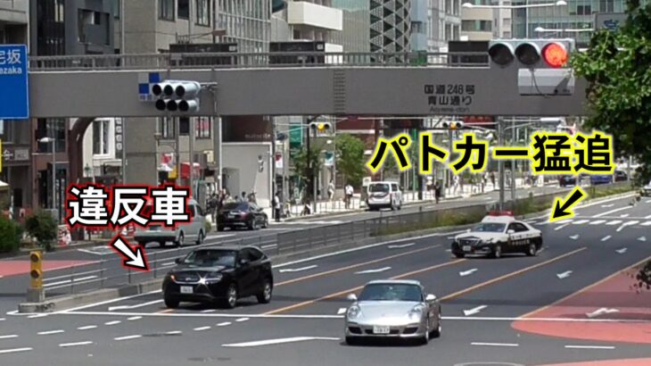 地方ナンバーが渋谷でヨチヨチ運転で違法右折。それを見ていた所轄パトカー、緊急走行で猛追する一部始終！