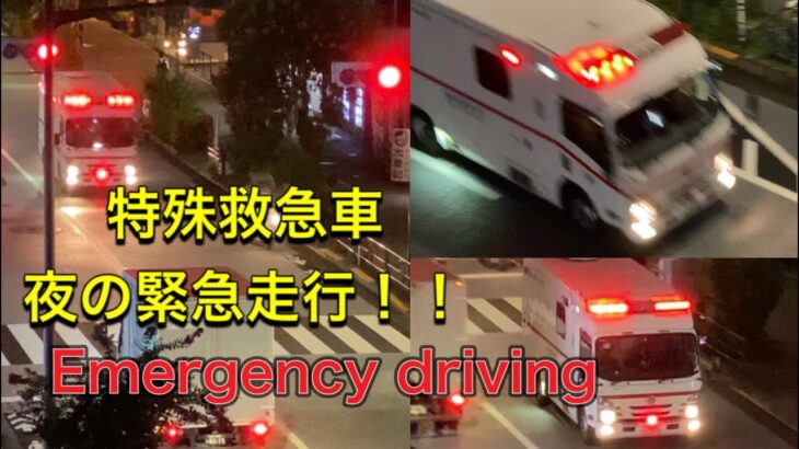 救急車　特殊救急車　本日2回　大忙し！！国内に、、、急増する搬送者　東京消防庁