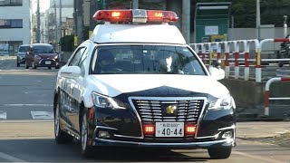 【横断歩行者等妨害等違反取締り】横断歩道を渡ろうとしている歩行者の目の前を平然と通過していくドライバーを新潟県警のパトカーが追跡【交通取締り】