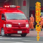 【危険排除発生！？】東京消防庁　指揮車緊急走行
