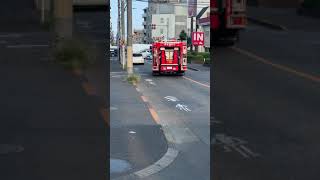 消防車が現場へ緊急走行中！！！　東京消防庁ならでは交差点時一時停止　交差点進入音？吹鳴り？もやって　#東京消防庁　#消防車　#サイレン　#緊急走行　#交差点進入音