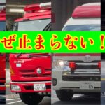 【なぜ止まらない！？】東京消防庁　消防車　救急車　緊急走行集