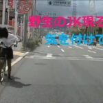 【ドラレコ普及】日本の交通事故・あおり運転・危ない運転⑯