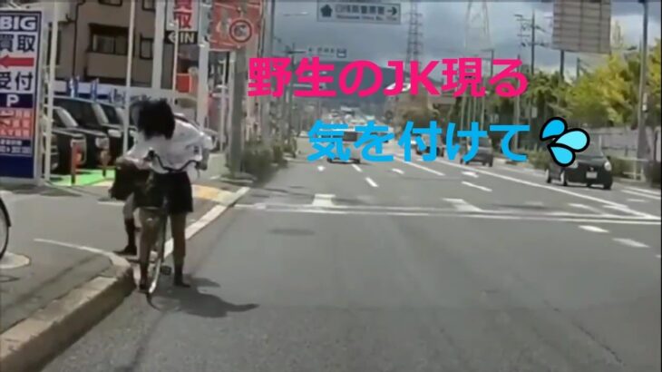 【ドラレコ普及】日本の交通事故・あおり運転・危ない運転⑯