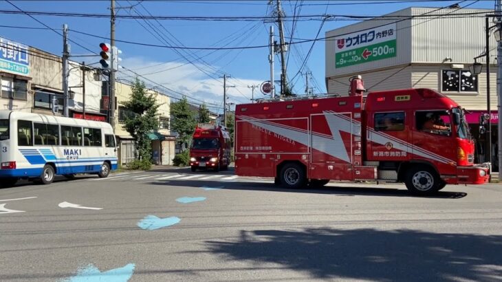 新潟市消防局　西救助1 西指揮1  緊急走行