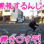 2021 スカッと 免許返納 してくれ 🎊 日本 の 危険運転 ドライブレコーダー おすすめ 動画  21 🎄