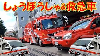 元気に走る消防車＆救急車　Fire truck and Ambulance