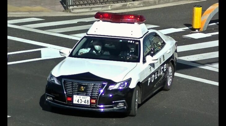 パトカー緊急走行【84】大阪府警　中堺警察署１号　緊急走行【Japanese Police car】