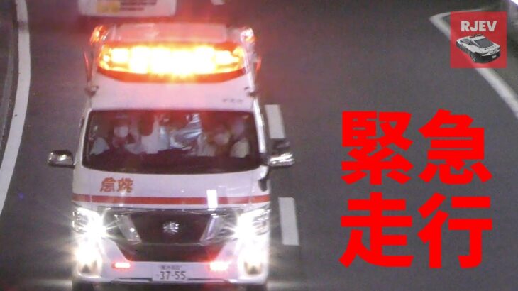 横浜消防 洋光台救急隊 日産パラメディック 高規格救急車 夜間の緊急走行 救急車は昼夜を問わず働きます – Nissan Paramedic Ambulance Emergency Driving