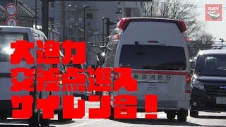 [東京消防庁] けたたましいサイレン音で交差点進入する救急車の緊急走行シーン かっこいい！Tokyo Ambulance Responding with Lights and Sirens