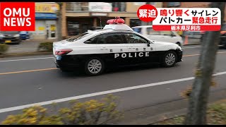 【栃木県足利市】緊迫！パトカー緊急走行！消防車と救急車も続々と到着！