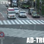 スクランブル交差点だけ信号が変わるまで待つ…緊急走行する渋谷消防署の救急車！