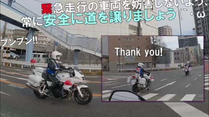 【一瞬です】珍しい”白バイ２台”の緊急走行🚨白バイが胸を打つお礼🥺Cool motorcycle.