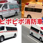 ピポピポ救急車EDM(30分)