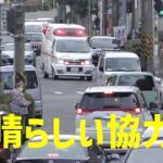 [横浜市消防局] エルグラパラメの緊急走行 一般車の協力によりスムーズに走行！素晴らしい協力です
