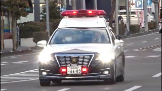 【緊急走行】静岡県警察静岡南警察署 210系クラウン警らパトカー