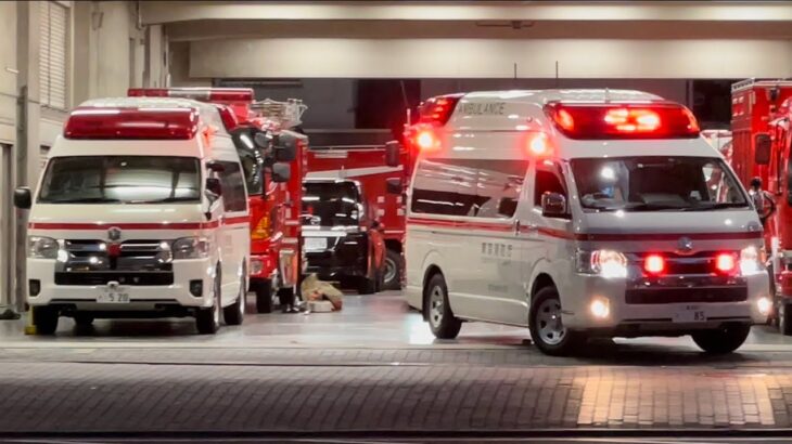 【3種類のハイメデイック救急車が混在する東京消防庁】さまざまな種類の救急車が走る！みんなはどっちが見やすい？？東京消防庁　救急車　緊急走行集
