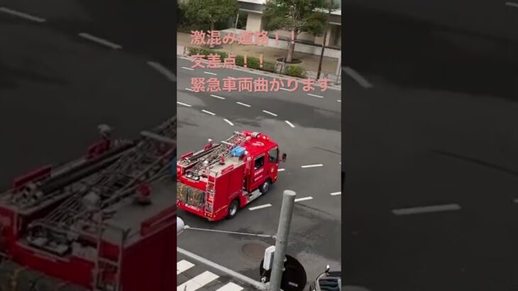 緊急車両　#消防車　#tokyo #救助活動#園2 #はたらくくるま