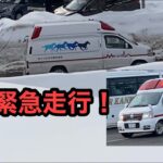 【緊急走行】救急車！え？馬!?と消防車またや…。札幌が大雪で大変だ！