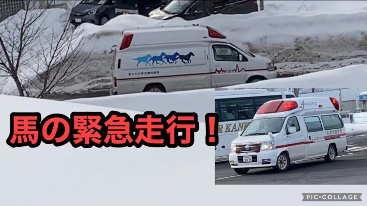 【緊急走行】救急車！え？馬!?と消防車またや…。札幌が大雪で大変だ！