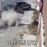 【交通安全】ドラレコ事故映像　運転中の事故の瞬間 5