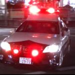 パトカー緊急走行【93】大阪府警　石津町炎上火災⑨【Japanese Police car】