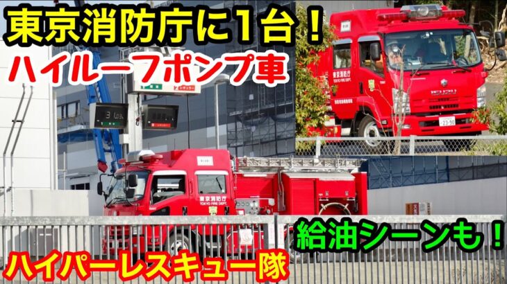 【東京消防庁に１台！】ハイパーレスキュー隊のハイルーフポンプ車！給油シーンも！