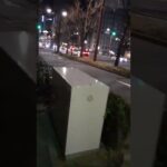 夜の桜 通りを緊急走行する救急車